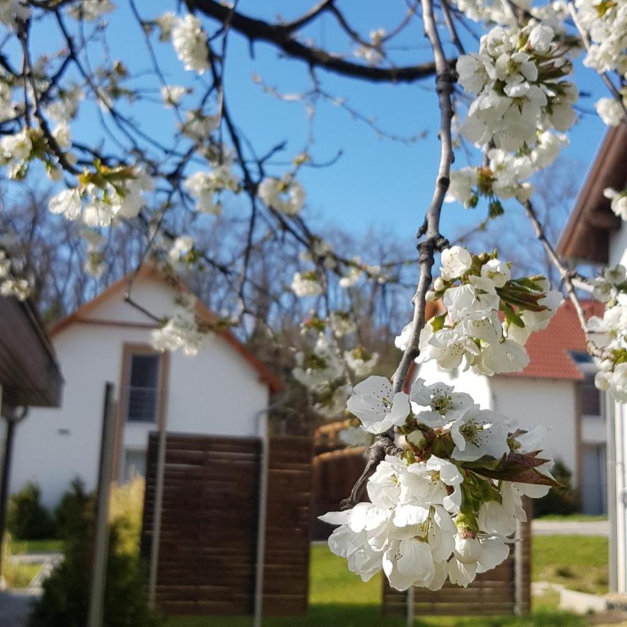 Kenese-Voelgye Villahotel Balatonkenese Exteriör bild